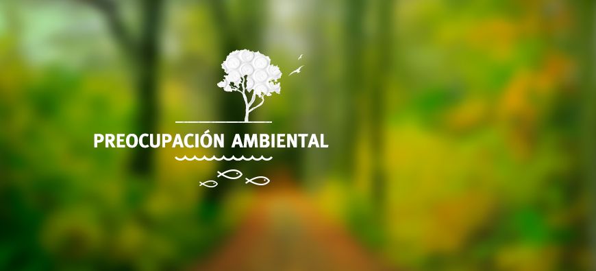 sobres preocupacion ambiental