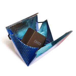 bolsa triangular pequena 1